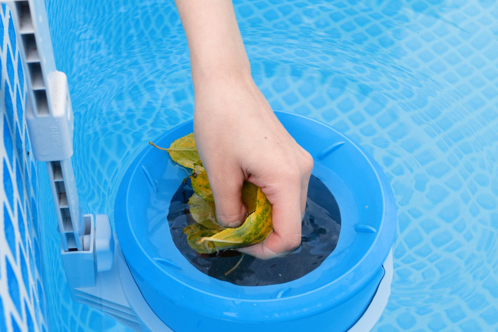 girl cleans skimmer for the frame pool. Contaminated pool cleani