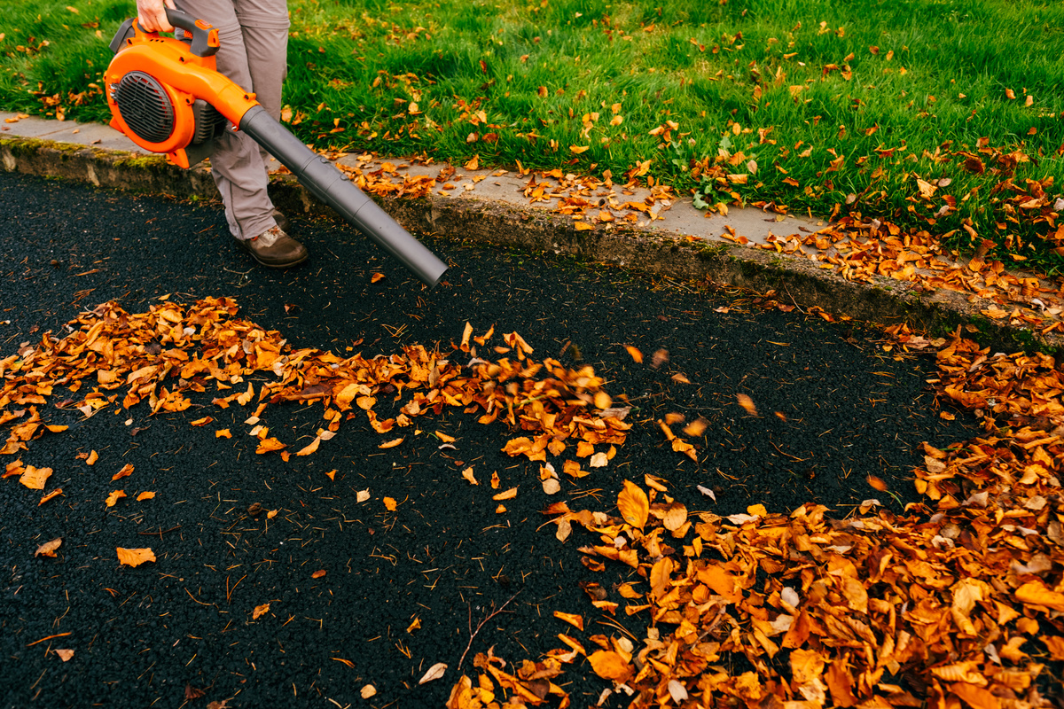 Leaf blower clearing driveway